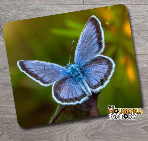 Mazarine Blue Butterfly Mouse Pad