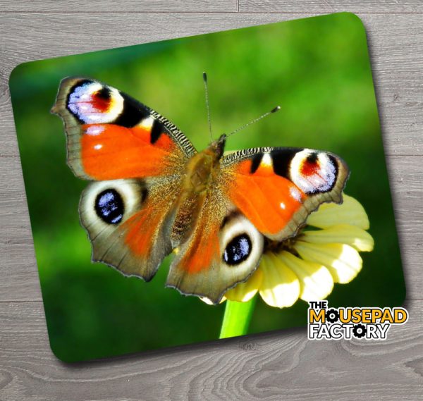 Peacock Butterfly Mouse Pad