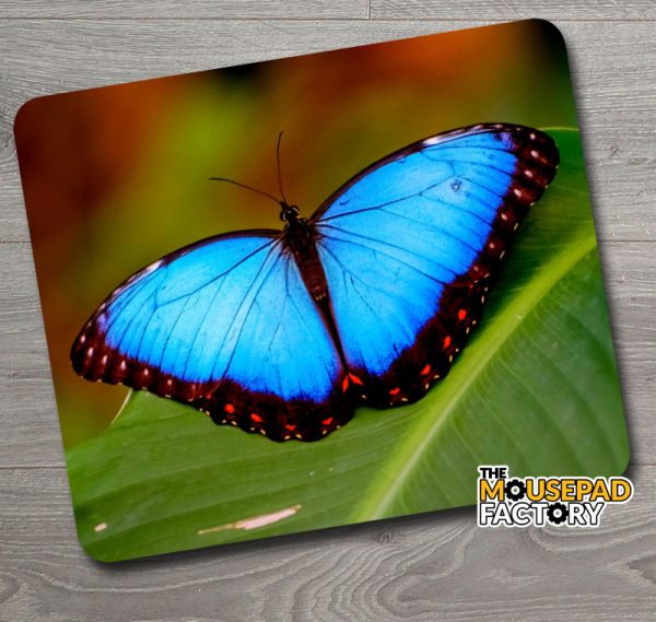 Blue Morpho Butterfly Mouse Pad