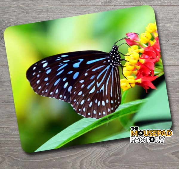 Blue Tiger Butterfly Mouse Pad