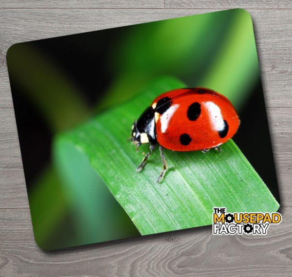 Ladybug on Leaf Mouse Pad