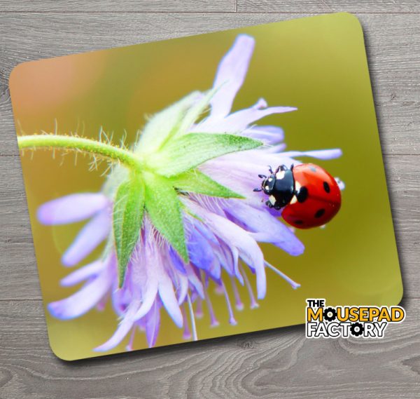 Ladybug on Flower Mouse Pad