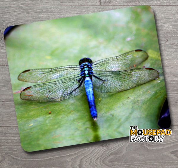 Blue Dragonfly Mouse Pad