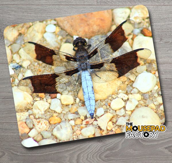 Dragonfly on River Rocks Mouse Pad