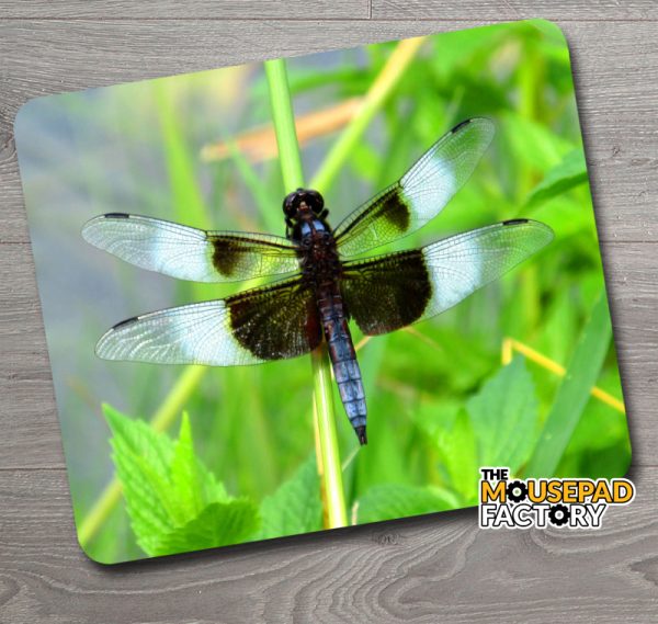 Black Winged Dragonfly Mouse Pad