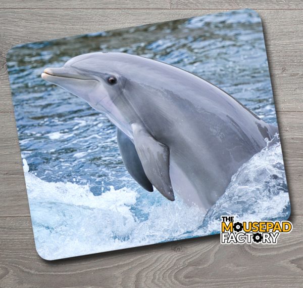 Cute Dolphin Porpoising Mouse Pad