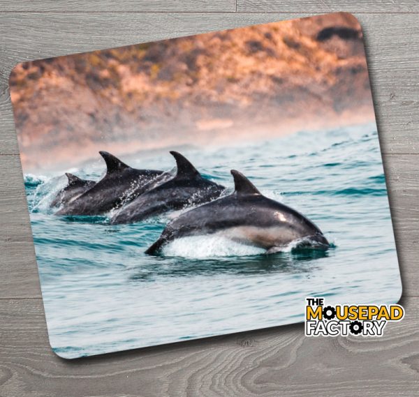 Dolphins Porpoising Mouse Pad