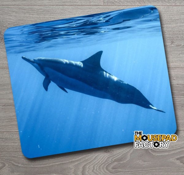 Deep Blue Dolphin Mouse Pad
