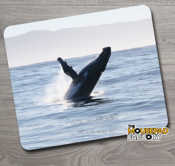 Humpback Whale Mouse Pad