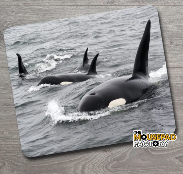 Killer Whales Orcas Mouse Pad