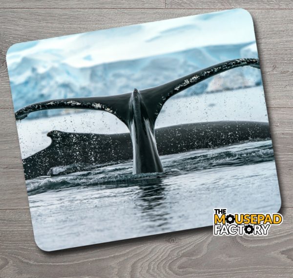 Humpback Whales Arctic Mouse Pad