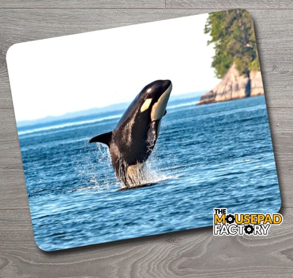Killer Whale Orca Mouse Pad