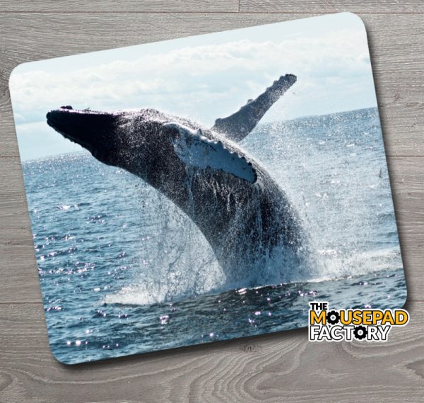 Humpback Whale Breaching Mouse Pad