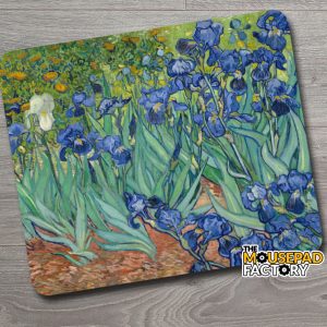 Vincent van Gogh Irises (1889)