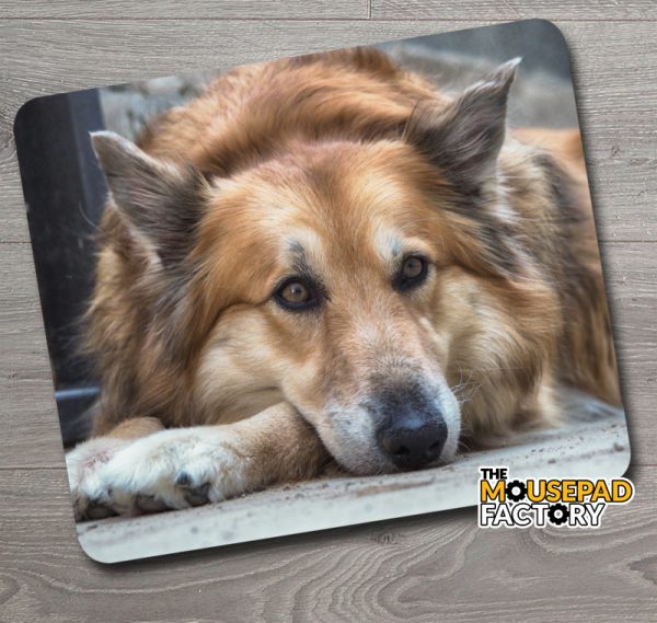 German Shepherd Dog Mouse Pad