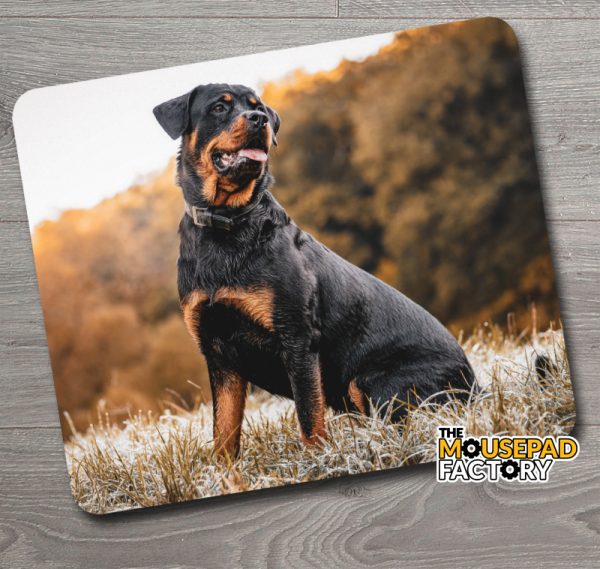 Rottweiler Dog Pure-breed Mouse Pad