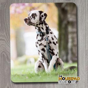 Dalmatian Dog Pure-breed Mouse Pad