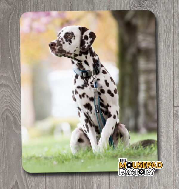 Dalmatian Dog Pure-breed Mouse Pad