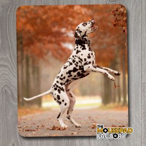 Dalmatian Dog Pure-breed Mouse Pad