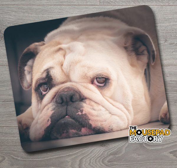 English Bulldog Mouse Pad