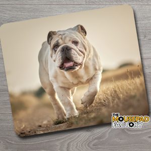 English Bulldog Mouse Pad