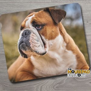 English Bulldog Mouse Pad