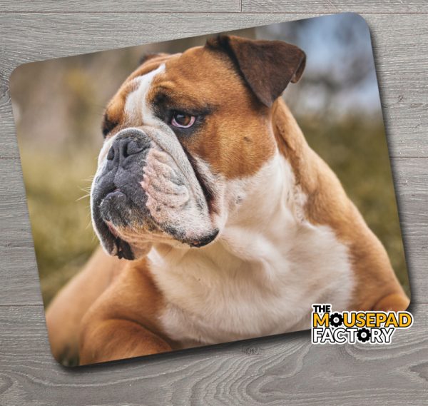 English Bulldog Mouse Pad