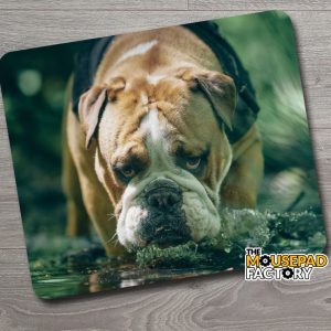 English Bulldog Mouse Pad