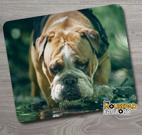 English Bulldog Mouse Pad