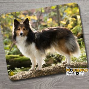 Sheltie Sheepdog Mouse Pad