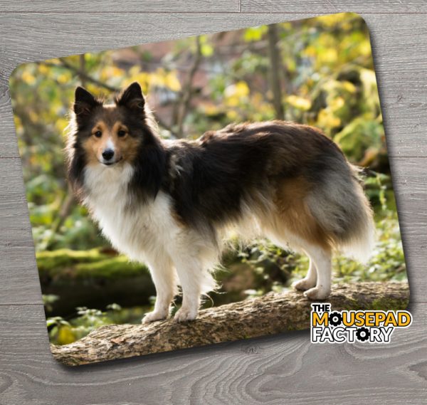 Sheltie Sheepdog Mouse Pad