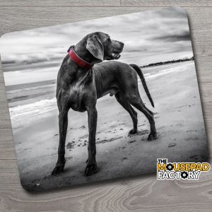 Weimaraner Dog Mouse Pad