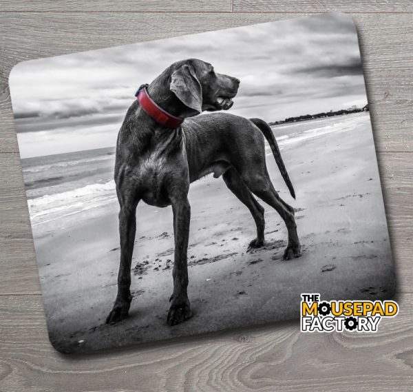 Weimaraner Dog Mouse Pad