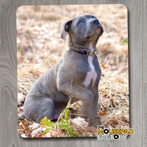 Pitbull Puppy Dog Mouse Pad