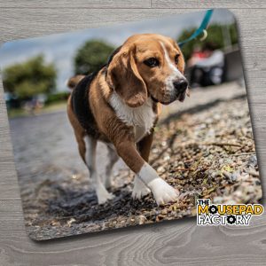 Beagle Puppy Dog Mouse Pad