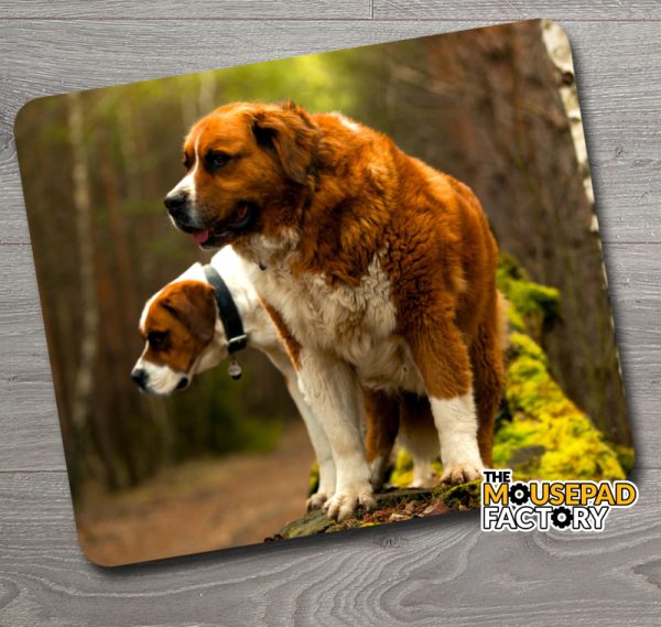 Saint Bernard Dog Mouse Pad