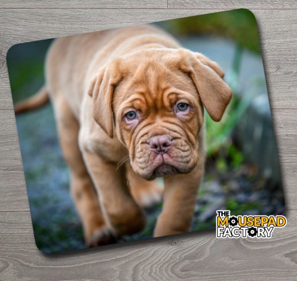 Bordeaux Mastiff Puppy Dog Mouse Pad