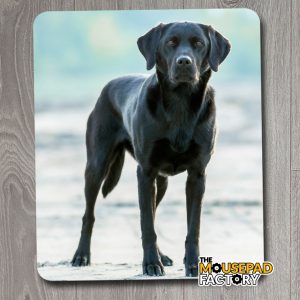 Black Labrador Lab Retriever Dog Mouse Pad