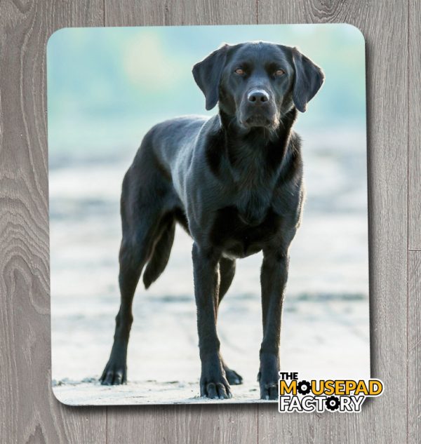 Black Labrador Lab Retriever Dog Mouse Pad