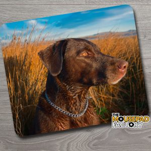 Chesapeake Bay Retriever Dog Mouse Pad