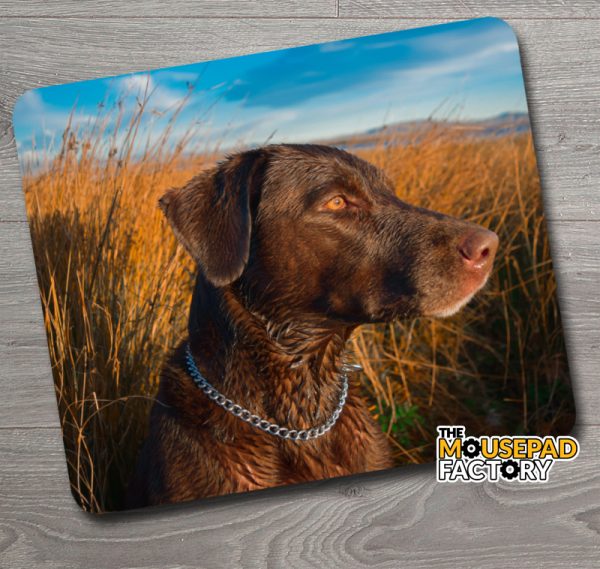 Chesapeake Bay Retriever Dog Mouse Pad