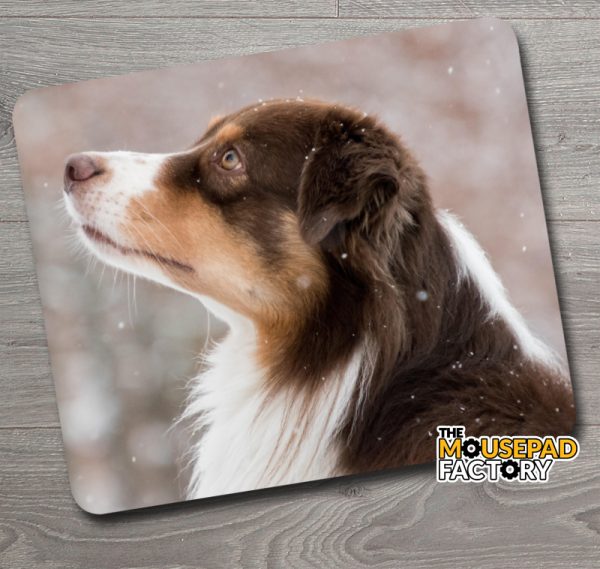 Australian Shepherd Dog Purebred Mouse Pad