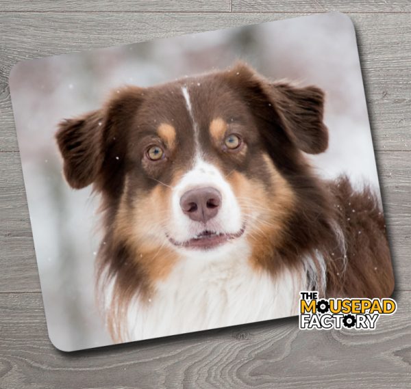 Australian Shepherd Dog Purebred Mouse Pad