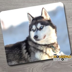 Siberian Husky Dog Purebred Mouse Pad