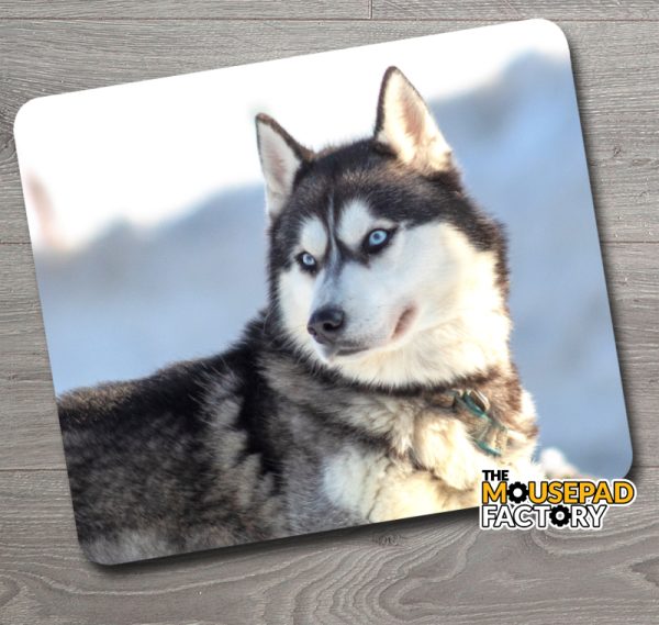 Siberian Husky Dog Purebred Mouse Pad