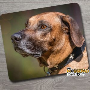 Rhodesian Ridgeback Dog Purebred Mouse Pad