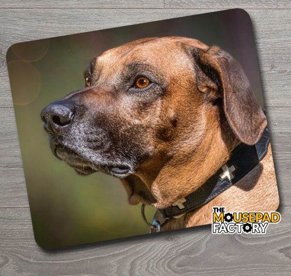 Rhodesian Ridgeback Dog Purebred Mouse Pad