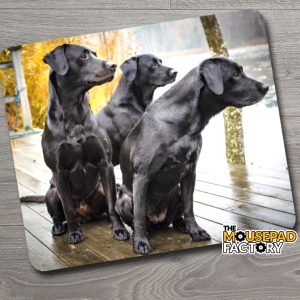 Black Labrador Lab Retriever Dogs Mouse Pad