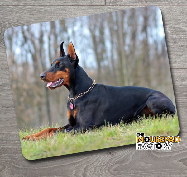 Doberman Pinscher Dog Purebred Mouse Pad