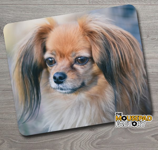 Papillon Toy Dog Mouse Pad